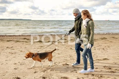 Happy couple with beagle dog on autumn beach Stock-Fotos