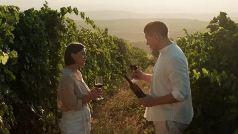 Happy couple cheering drinking wine in vineyards at sunset Stock Footage 288294044