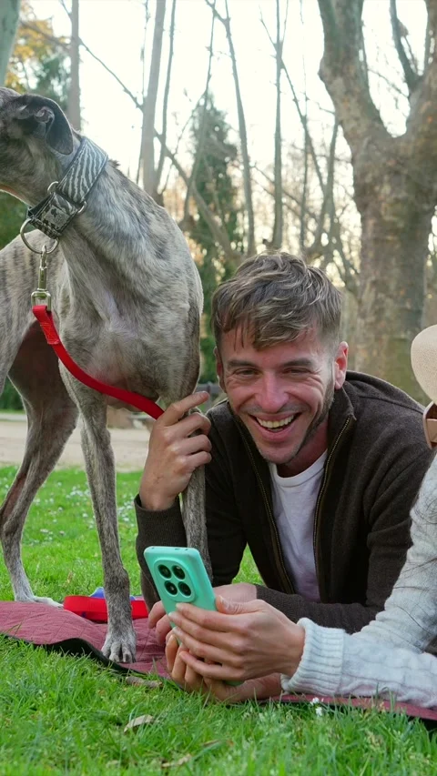 Happy couple with greyhound dog using smartphone in park Stock Footage 333235343