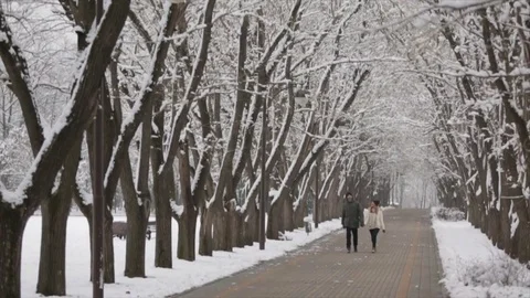 Happy couple hugging in winter Stock Footage 70223048