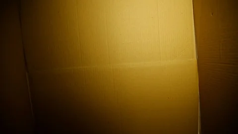 Happy couple opening a parcel box and looking inside with different emotions Stock Footage 128071721