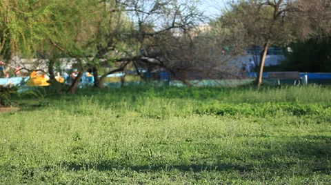 Happy couple  in the Park Stock Footage 33953929