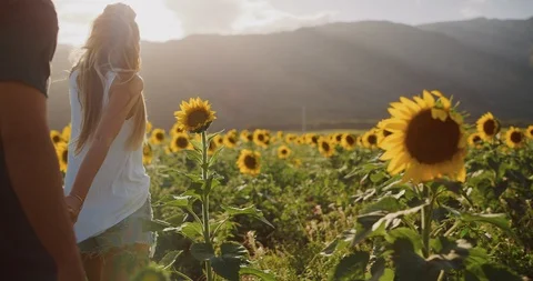 Happy couple in sunflower fields Stock Footage 106508229
