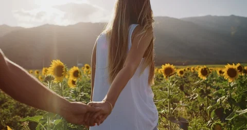 Happy couple in sunflower fields Stock Footage 106509508