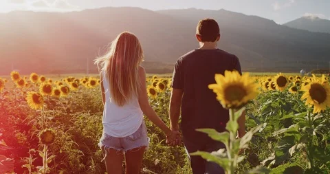 Happy couple in sunflower fields Stock Footage 106510860