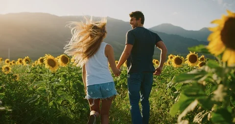 Happy couple in sunflower fields Stock Footage 106512868