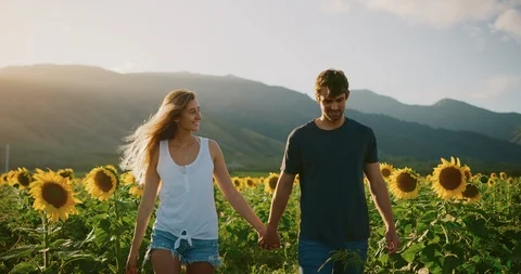 Happy couple in sunflower fields Stock Footage 106514288