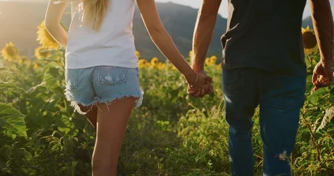 Happy couple in sunflower fields Stock Footage 106515410