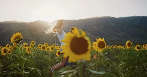 Happy couple in sunflower fields Stock Footage 106516893