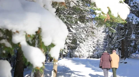 Happy couple walking in the winter forest Stock Footage 45639970