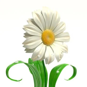 Happy daisy Stock Illustration