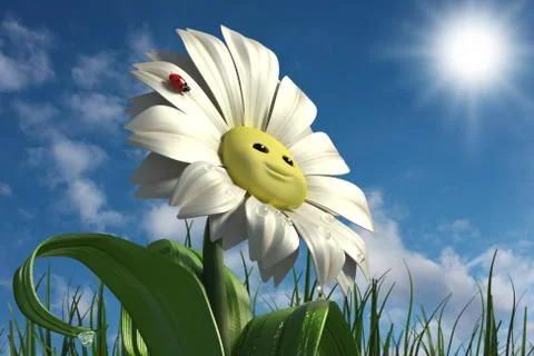 Happy daisy Stock Illustration
