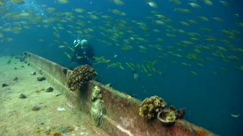 Happy diver on top of wreck Stock-Footage 6732018