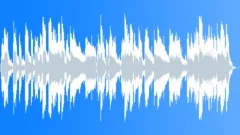 Happy Dixie Land Jazz Guitar Live Jazz 10sec edit Stock Music