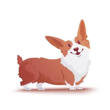 Happy dog Welsh Corgi. The style flat. Stock Illustration