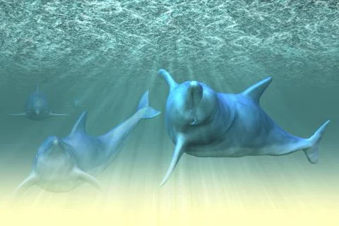 Happy dolphins Illustrazione stock