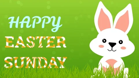 Happy Easter animation with cute bunny in moving animation Stock Footage 234106589
