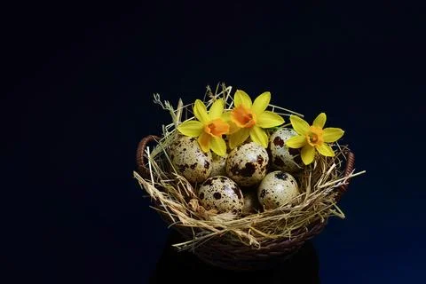 Happy Easter background concept. Easter decoration Stock Photos