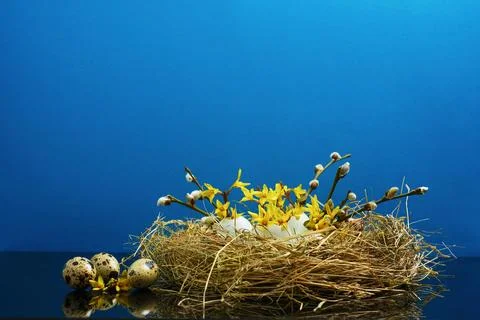 Happy Easter background concept. Easter decoration Stock Photos