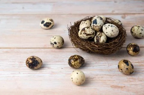 Happy easter banner. Quail eggs in the nest Stock Photos