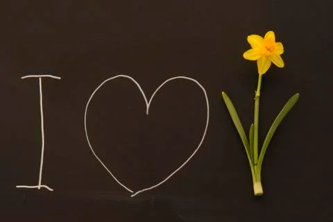 Happy easter on blackboard Fotos de archivo