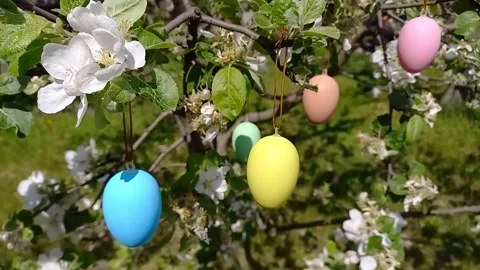 Happy easter. blossoming tree decorated with decorative Easter eggs Stock Footage 260751310