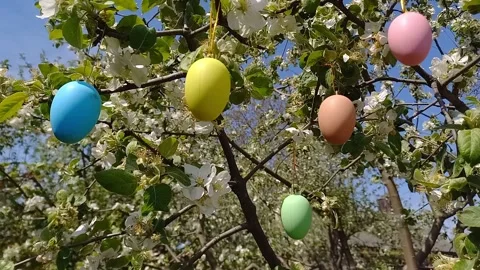 Happy easter. blossoming tree decorated with decorative Easter eggs. Stock Footage 260751361