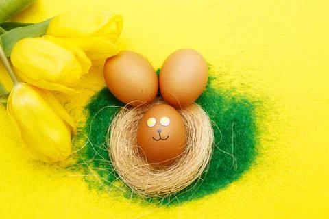 Happy easter bunny eggs in nest with flowers tulips on the decorative grass.. Stock Photos
