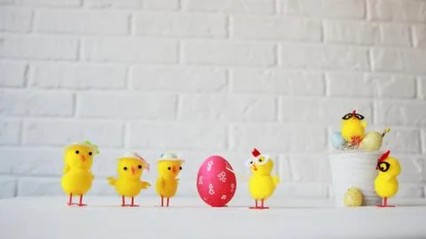 Happy Easter. Chickens conduct a master class in preparation for Easter. Stock Photos