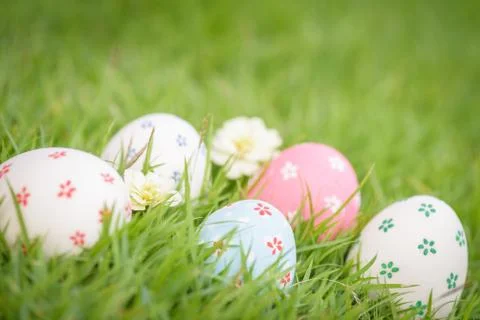 Happy easter!  Closeup Colorful Easter eggs in nest on green grass field duri Stock Photos