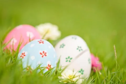 Happy easter!  Closeup Colorful Easter eggs in nest on green grass field duri Stock Photos