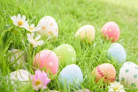 Happy easter!  Closeup Colorful Easter eggs in nest on green grass field duri Foto stock