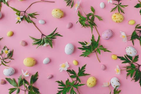 Happy Easter!  Colorful Easter chocolate eggs and spring flowers flat lay o.. Stock Photos