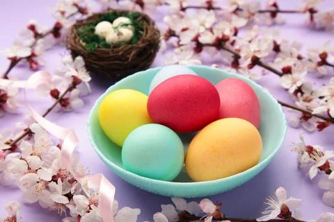Happy Easter. Colorful Easter chocolate eggs with cherry blossoms on purple.. Stock Photos