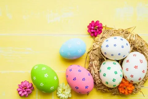 Happy easter! Colorful of Easter eggs in nest on pastel color bright green an Stock Photos