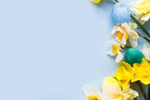 Happy Easter! Colorful Easter eggs with daffodils flowers flat lay on blue .. Stock Photos