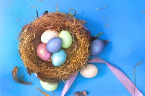 Happy Easter. Colorful Easters eggs in a nest with feathers on the blue Stock Photos