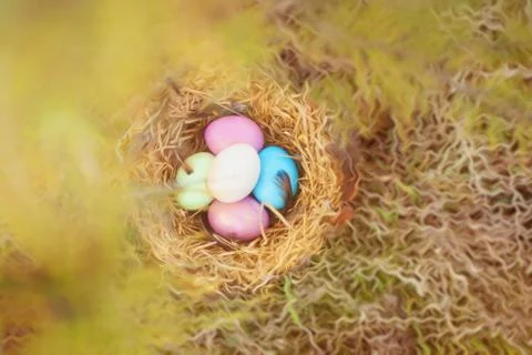 Happy Easter. Colorful Easters eggs in a nest with feathers. Stock Photos