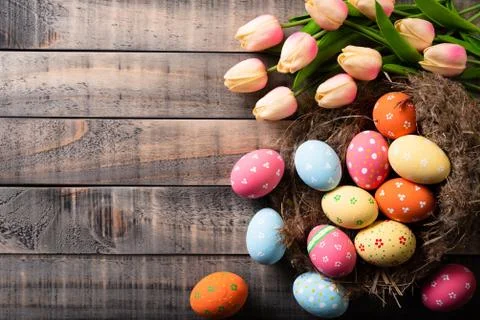 Happy easter! Colourful of Easter eggs in nest with Pink tulips and Feather o Stock Photos
