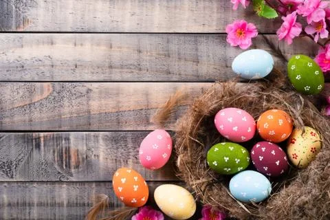 Happy easter! Colourful of Easter eggs in nest with pink flower and Feather o Stock Photos