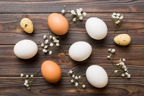 Happy Easter composition. Easter eggs on colored table with gypsophila. Nat.. Stock Photos
