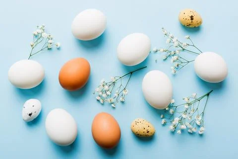 Happy Easter composition. Easter eggs on colored table with gypsophila. Natur Stock Photos