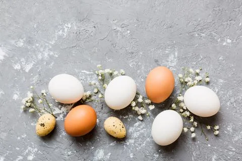 Happy Easter composition. Easter eggs on colored table with gypsophila. Nat.. Stock Photos