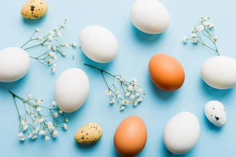 Happy Easter composition. Easter eggs on colored table with gypsophila. Nat.. 스톡 사진