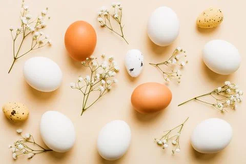 Happy Easter composition. Easter eggs on colored table with gypsophila. Nat.. Stock Photos