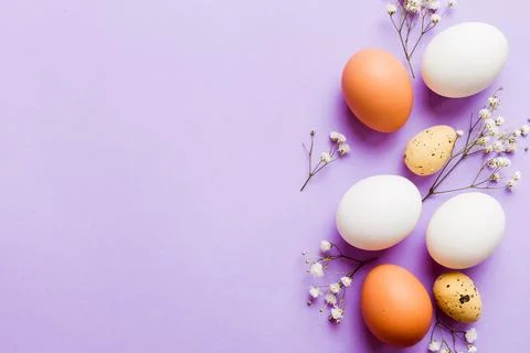 Happy Easter composition. Easter eggs on colored table with gypsophila. Nat.. 库存照片