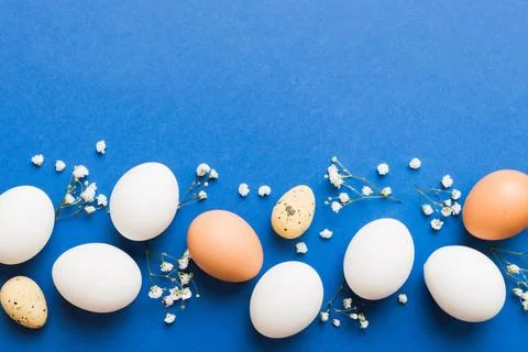 Happy Easter composition. Easter eggs on colored table with gypsophila. Nat.. Stock Photos