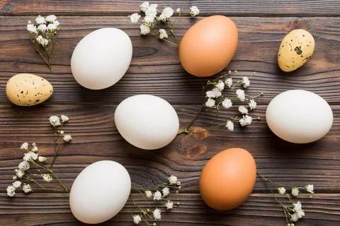 Happy Easter composition. Easter eggs on colored table with gypsophila. Nat.. Stock Photos