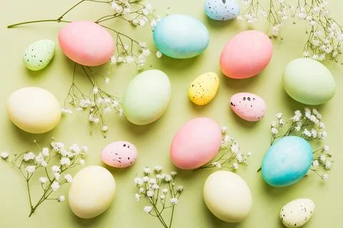 Happy Easter composition. Easter eggs on colored table with gypsophila. Nat.. Stock Photos