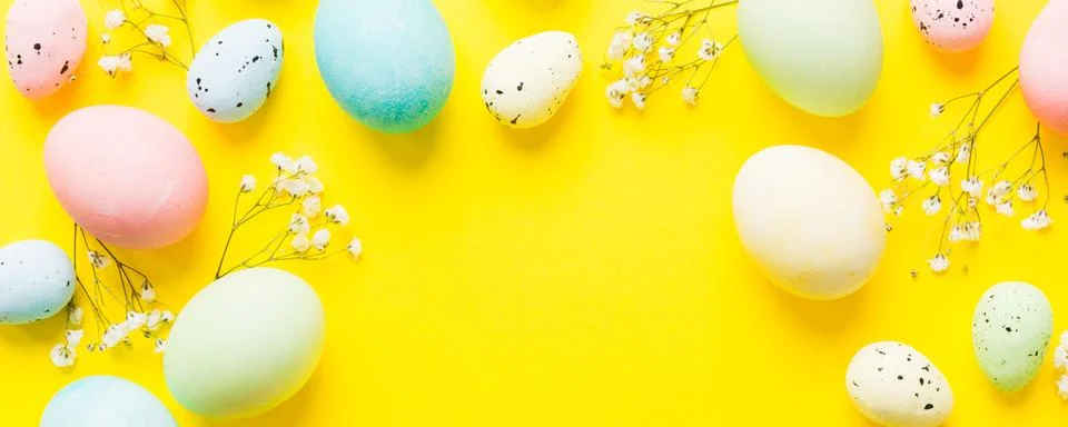 Happy Easter composition. Easter eggs on colored table with gypsophila. Natur Stock Photos